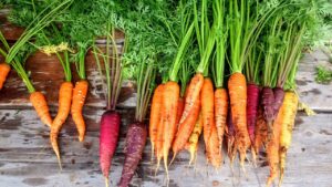 Zweite Chance für „hässliches“ Gemüse